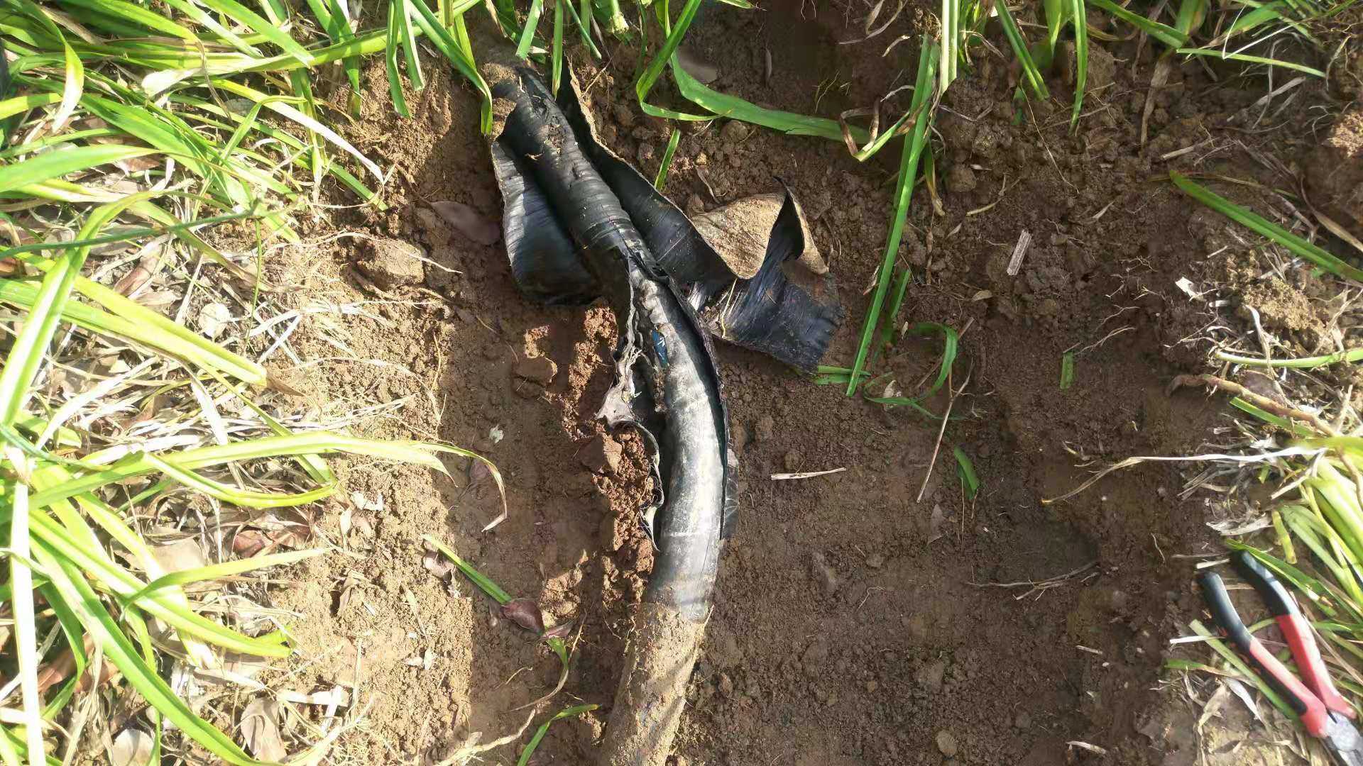 電纜故障定點儀